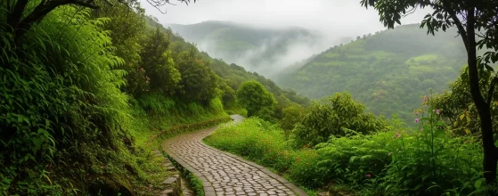 Top Places to Visit in August in India